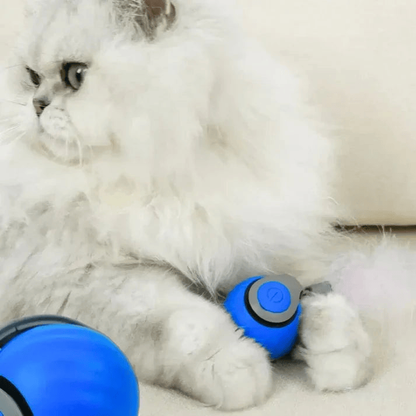 TailPlay 2.0 – Pelota Inteligente Con Cola Para Gatos