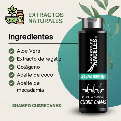 Shampoo Cubrecanas Secreto de Angeles