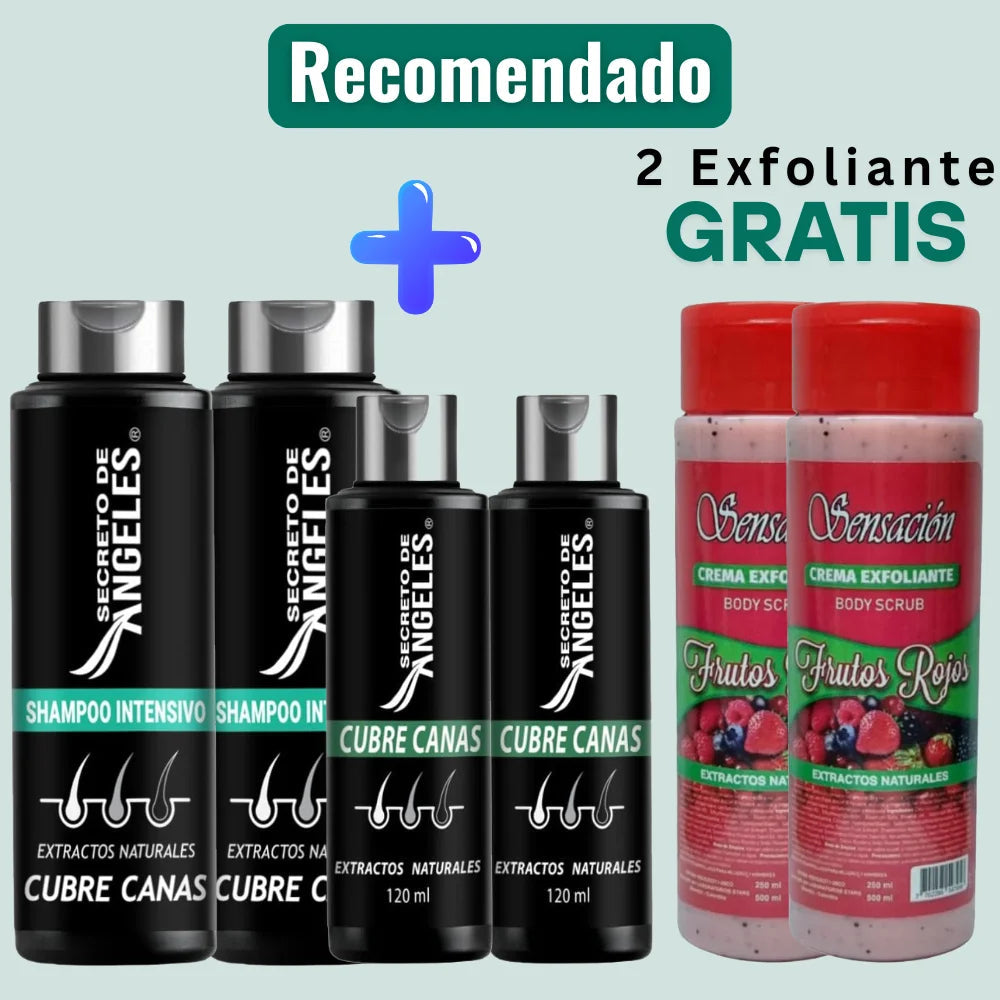 Shampoo Cubrecanas Secreto de Angeles
